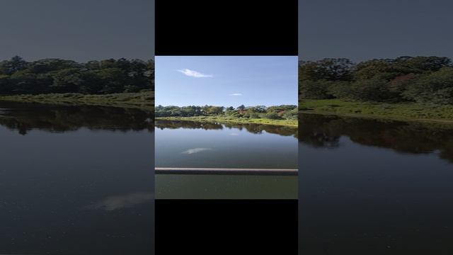 😍 КРАСОТА 👍 Река Мста смотреть онлайн