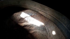 Корм для перепелов. Корм для перепелов своими руками.