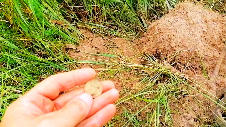 Активный отдых. смотреть онлайн