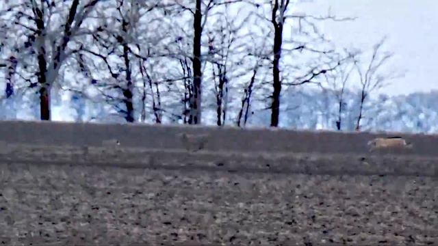 Магия Фаер new смотреть онлайн