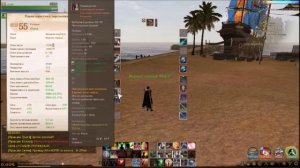 ArcheAge  Паладин. Билд + мини гайд!