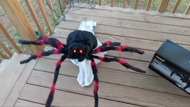 Spirit halloween jumping spider (red) review (read my comment) смотреть онлайн