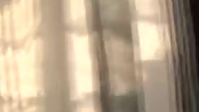 ТАДЖИКИ должны гордится тем, что они ТАДЖИКИ ! смотреть онлайн