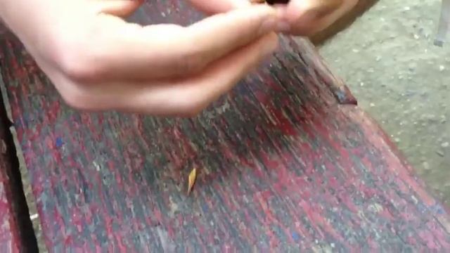 Как расколоть лесные орехи? смотреть онлайн