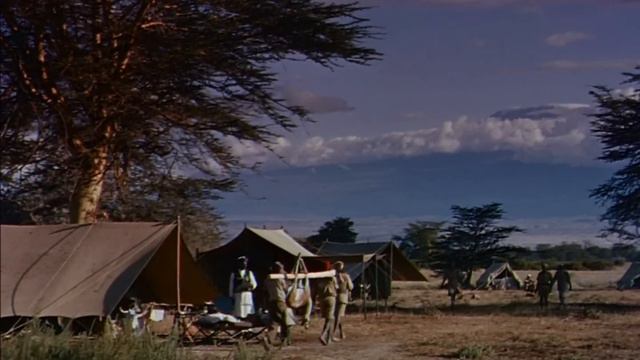 The Snows Of Kilimanjaro 1952 Gregory Peck & Susan Hayward