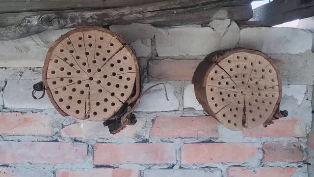 Osmia Осмии смотреть онлайн