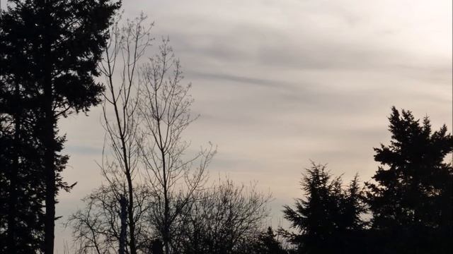 Blicke eines Besuchers смотреть онлайн