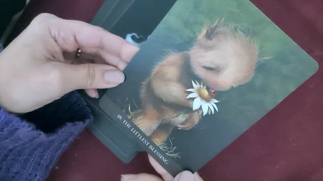 Exploring the Mysterious Beauty of the 'Into the Lonely Woods' Oracle: Unboxing смотреть онлайн