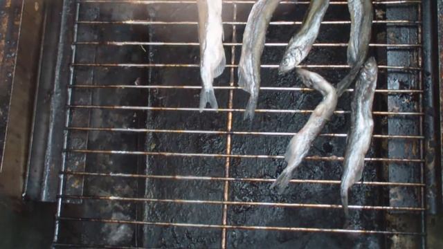 Мойва горячего копчения в самодельной коптильне. Готовим на природе! смотреть онлайн