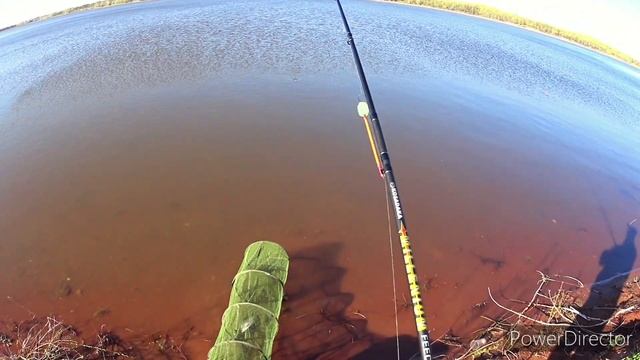 Рыбалка на ФИДЕР 2020!!!Ловим ПОДЛЕЦОВ кабанчиков... смотреть онлайн