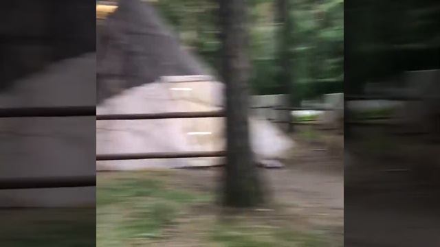 КАК ЖИВУТ ЛЮДИ В ТУНДРЕ, ТАЙГЕ И СТЕПИ смотреть онлайн