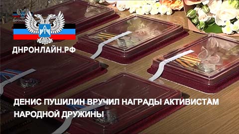 Денис Пушилин вручил награды активистам Народной дружины смотреть онлайн