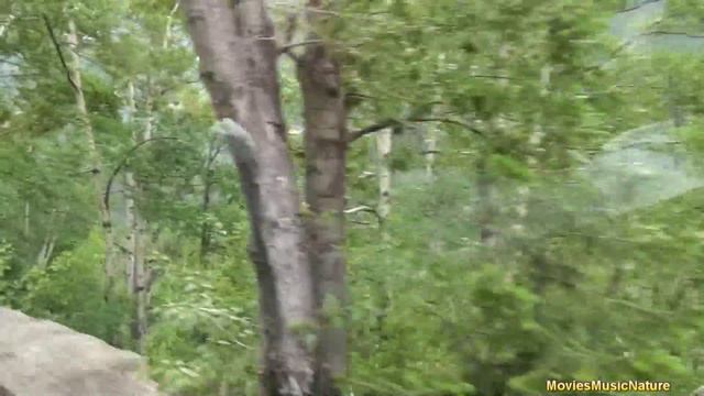 Red Bus Tour - Glacier National Park, Montana смотреть онлайн