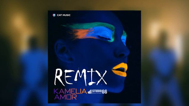 Kamelia Amor STUDIO 66 Remix смотреть онлайн