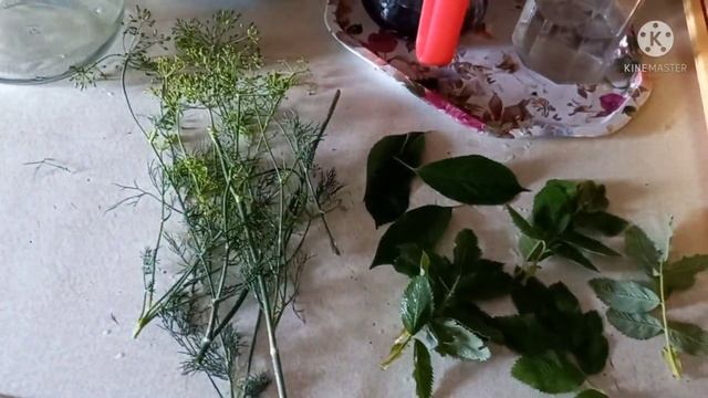 Мама пришла из магазина, что растёт у неё на огороде смотреть онлайн