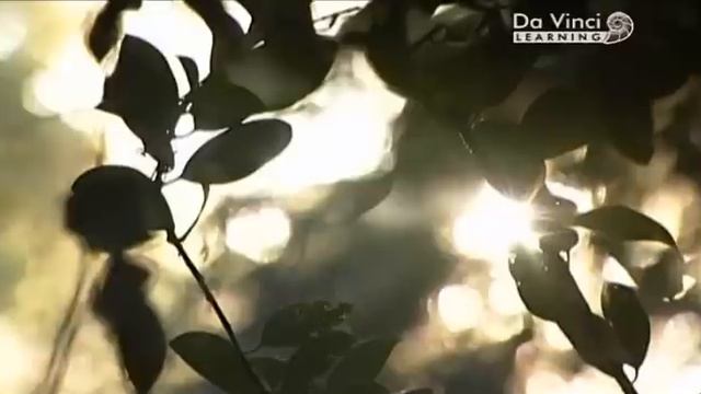 ВВС: История математики | Часть 4 За пределы бесконечности смотреть онлайн