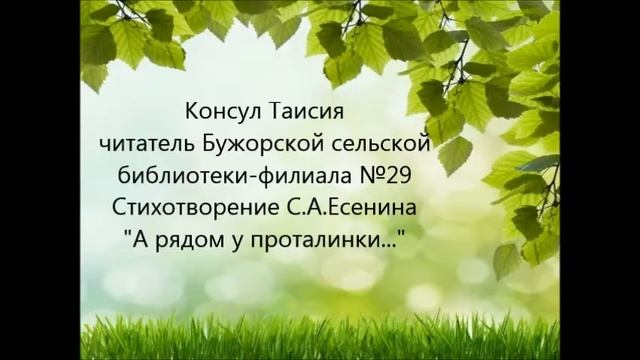 Читаем Сергея Есенина -часть 2 смотреть онлайн