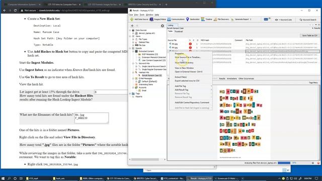 8.6 Lab L60, Running Autopsy Ingest Modules смотреть онлайн