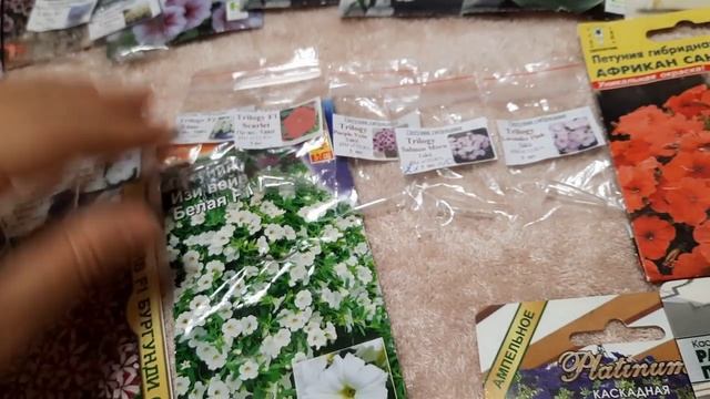 Ампельная Петуния. Самые красивые сорта ампельной петунии на 2022г./Какие петунии украсят ваш сад? смотреть онлайн