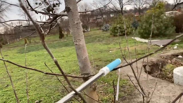 Обзор яблонь после обрезки. Январские хлопоты на даче. смотреть онлайн