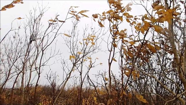 2023.09.16. Первый снег в Норильске!!! смотреть онлайн