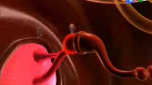 28  Путешествия Адибу  Как устроен человек  Почему я слышу