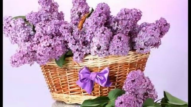 С днем рождения в Мае/Красивое поздравление/Музыкальная открытка с Днем Рождения смотреть онлайн