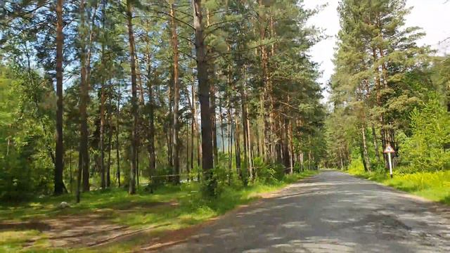 Покатушки на машине от Форелевого озера. Алтай 2021 смотреть онлайн