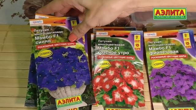 Клумбы из ПЕТУНИЙ на вашей даче | ПЕТУНИЯ МАМБА смотреть онлайн