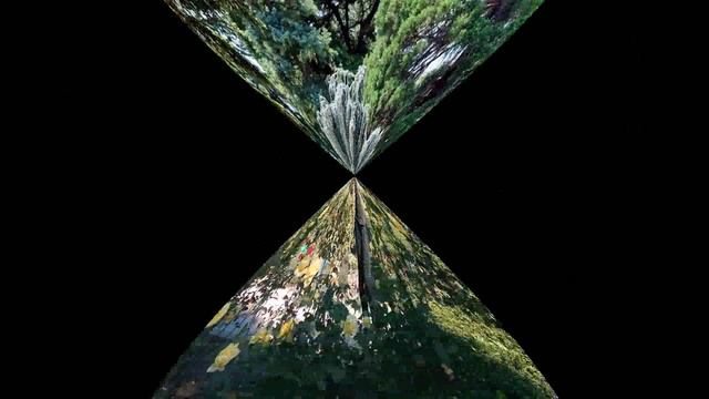 Ботанический сад.mp4