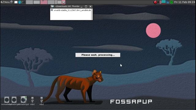 Installing and setup of Vivaldi browser in FP64 смотреть онлайн