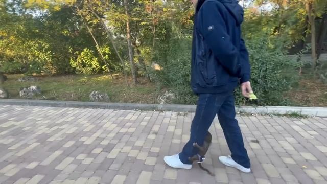 Люся не отпускает Влада ни на минуту. Влад после столкновения с полицией пытается успокоится… смотреть онлайн