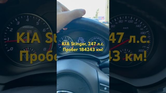 ￼ KIA Stinger, КИА Стингер, 2018 года, 247 л.с. , полный привод. Пробег 184243 км. смотреть онлайн
