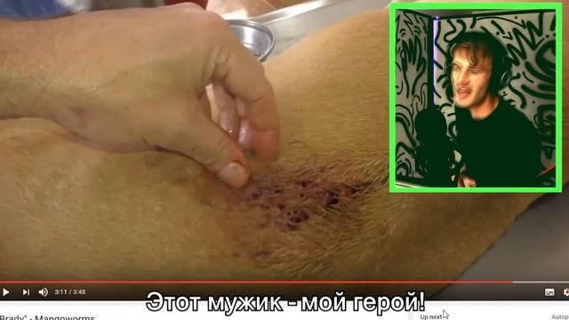 PewDiePie - ТРИПОФОБ! смотреть онлайн