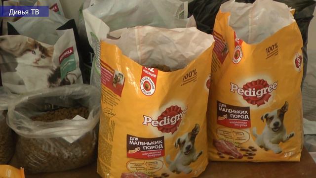 Тихвин принял беженцев из Мариуполя 19042022 смотреть онлайн