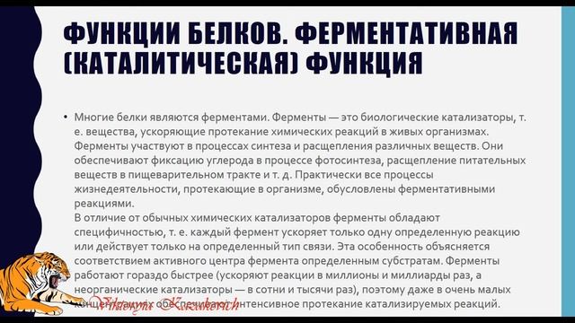Свойства и функции белков смотреть онлайн