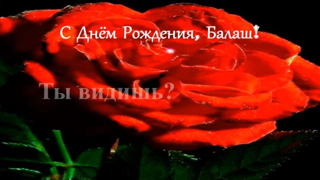 С Днём Рождения, Балаш! смотреть онлайн