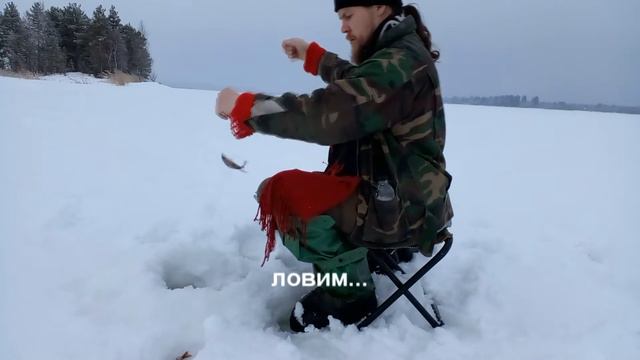 Окуня, Тулгуба и компания. смотреть онлайн