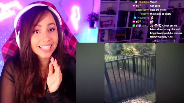 TRY NOT TO LAUGH WATCHING FUNNY FAILS VIDEOS #53 | Bunnymon REACTS смотреть онлайн