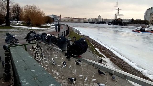 Санкт-петербург, Летучий голландец #respect #notalking #saintpetersburg #walkingvideo #travel