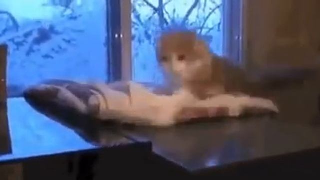 Зачем я крутился? Ведь было лучше. Why Am I Cool? It Was Better