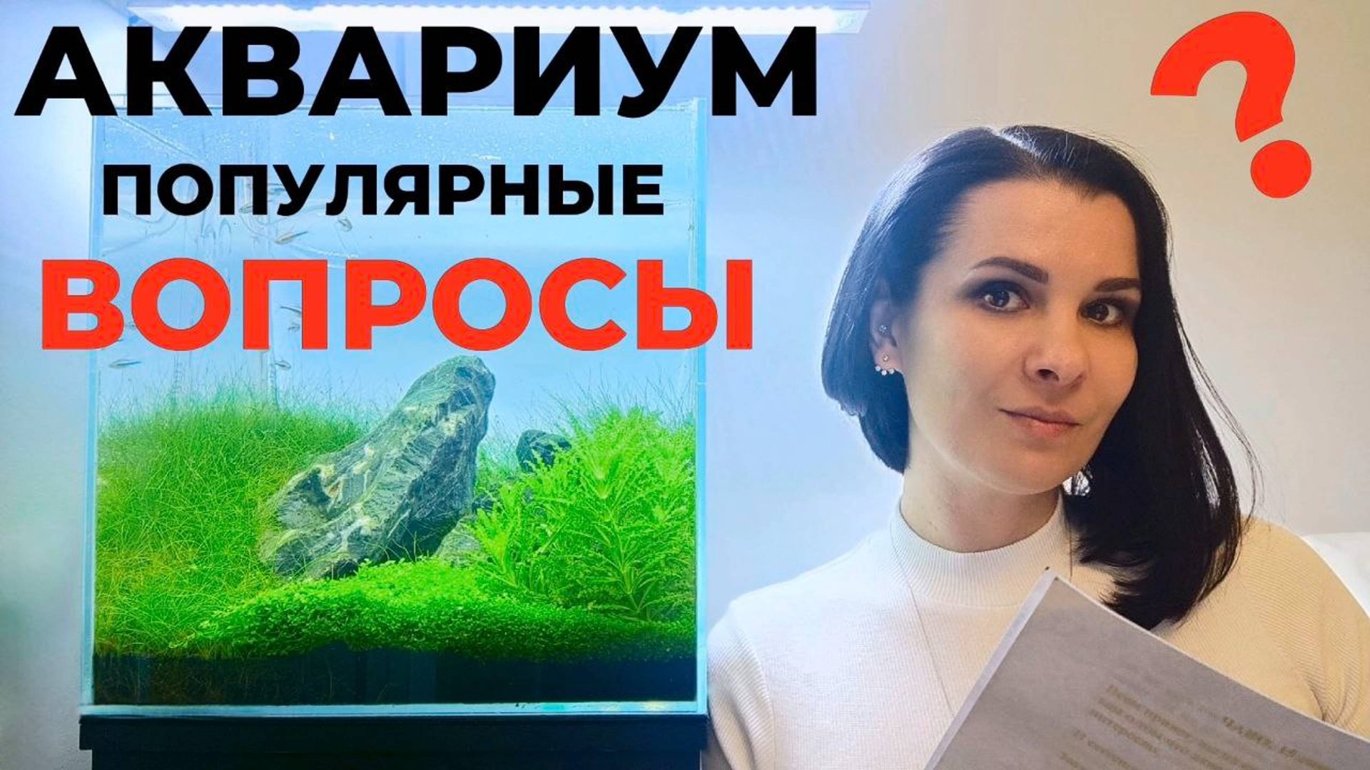 Аквариум травник. Частые вопросы смотреть онлайн