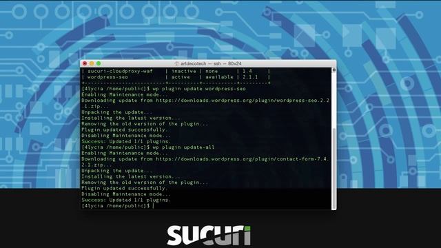 WordPress CLI (WP-CLI): How to Manage Plugins & Themes смотреть онлайн
