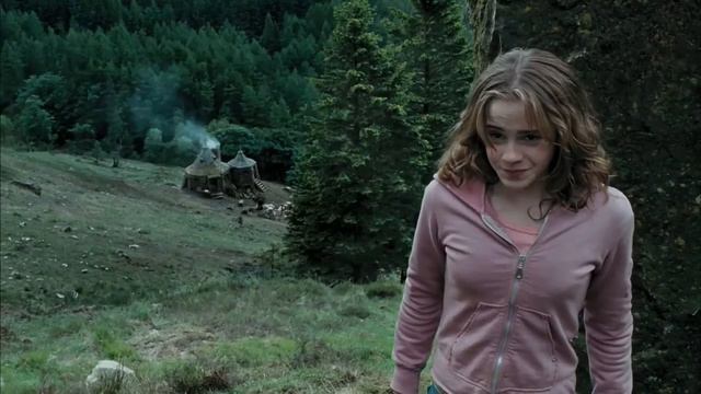 Рон и Гермиона/Ron&Hermione - Герой не моего романа смотреть онлайн