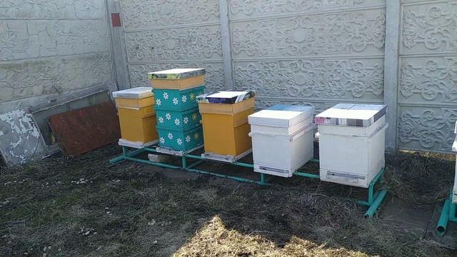 Расстановка ульев на пасике