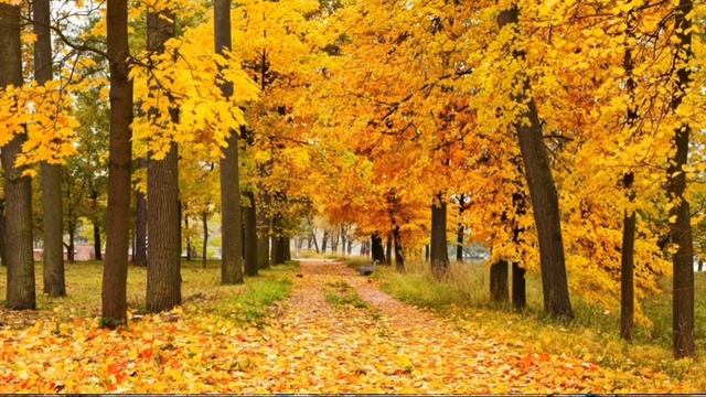 #sergeygrishcuk Проказница осень - Сергей Грищук