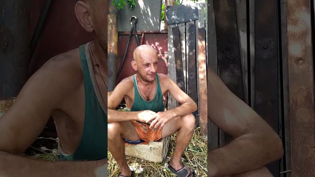 Новоэкономическое Чечен Орлов Михалыч смотреть онлайн