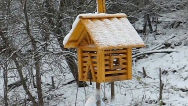 Покормите птиц смотреть онлайн