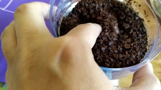 Обзор кофемолки kitfort kt-1314. Перемолола кофе смотреть онлайн