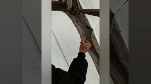Теплица из Арматуры от А до Я.